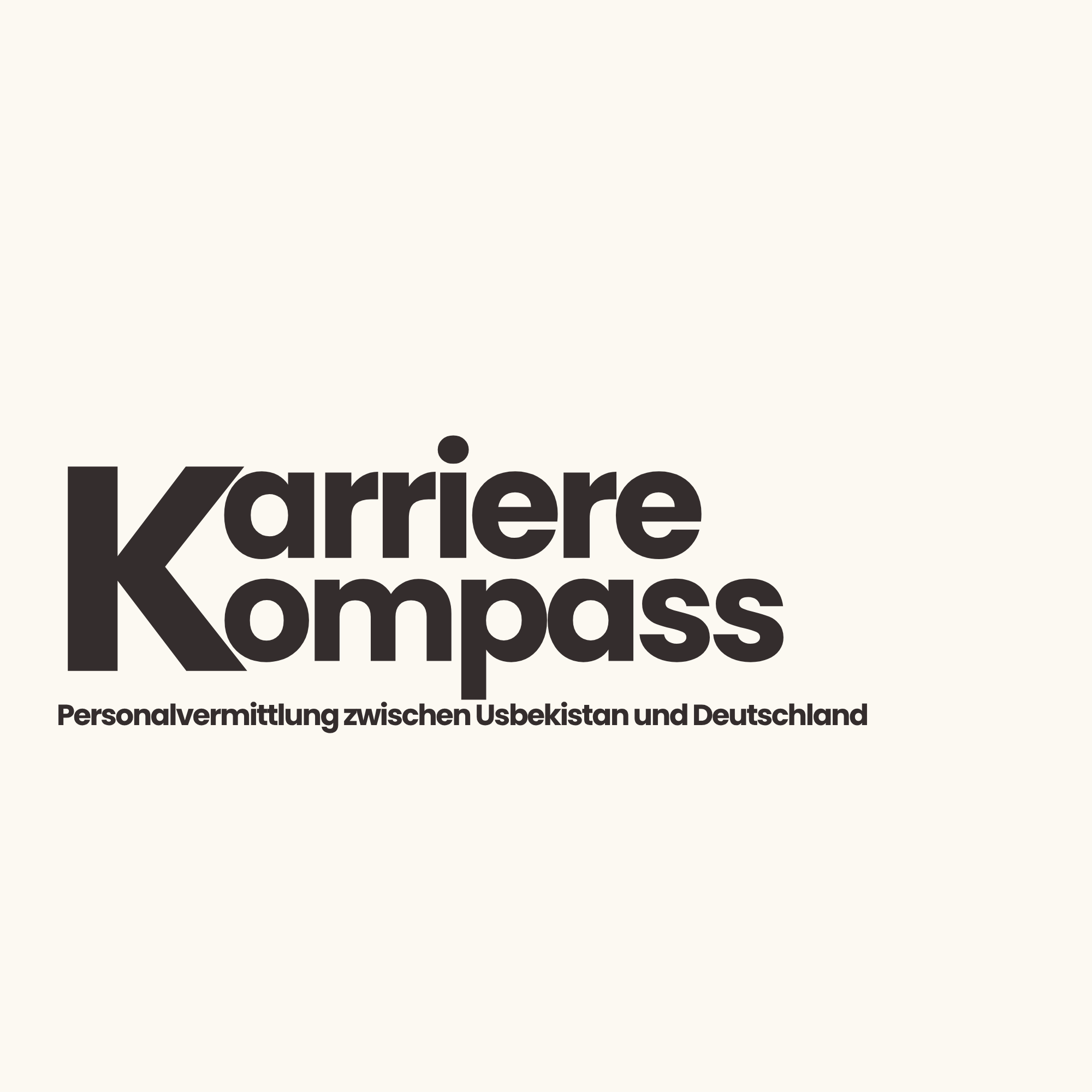 Karrierekompass – Fachkräfte aus Usbekistan für Deutschland
